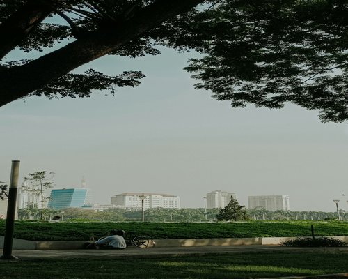 City commuter taking visual rest break looking at park trees in Jakarta